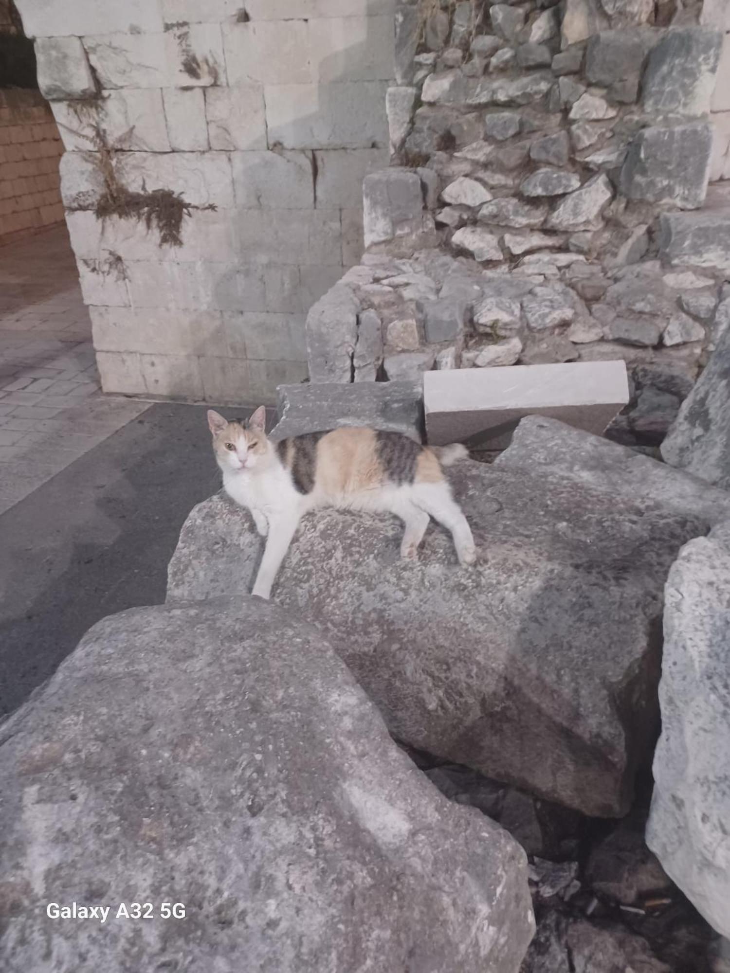 Auberge de jeunesse Habibi Come Tu Silver Gate Diocletians Palac Split