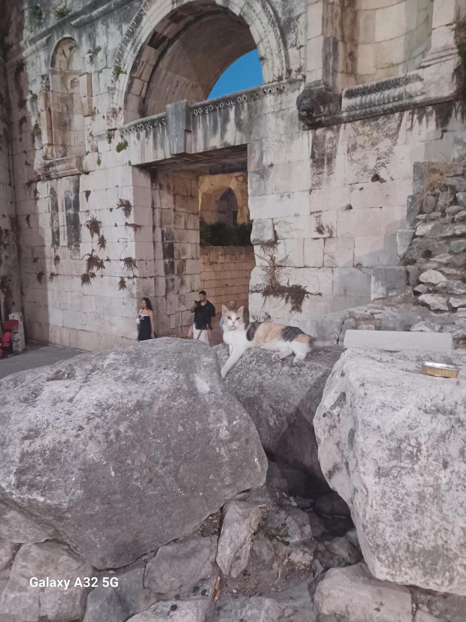 Auberge de jeunesse Habibi Come Tu Silver Gate Diocletians Palac Split